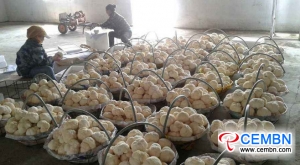 Mudanjiang Miasto prowincji Heilongjiang: Moc grzybów brutto osiąga 2.18 mln ton