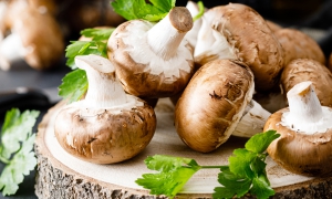 Mushrooms: A Superfood packed with health