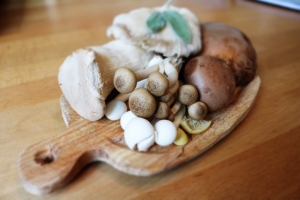 Demand for mushrooms has surged