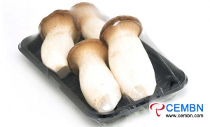 内蒙古梅通市场：蘑菇价格分析