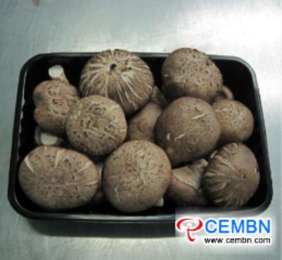 中国广东省：蘑菇价格市场分析