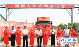 Shanxi Lvheng Company: las latas de hongos shiitake se exportaron al sudeste asiático por primera vez