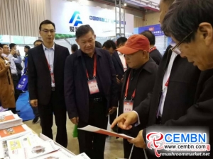 La ciudad de Yancheng acelera la transformación y la mejora de la industria de los champiñones