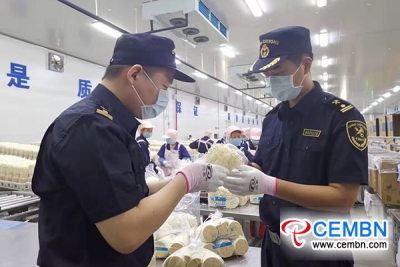 Chongqing: Verse Enoki-champignons werden eerst geëxporteerd naar Thailand