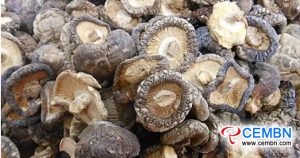 Situazione sulla produzione e il mercato delle vendite e il commercio delle esportazioni di funghi shiitake in Cina