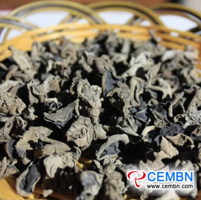 2020에 따르면, 중국 윈난 (Yunnan)에있는 30 billion CNY를 초과하는 버섯 산업의 예상 생산량