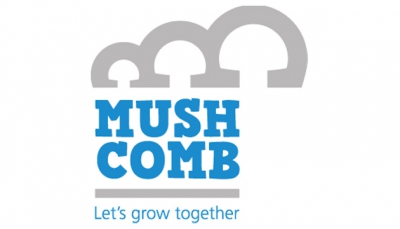 Mush Comb: Innovating through challenges with a positive outlook