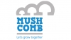 Mush Comb: Innovating through challenges with a positive outlook