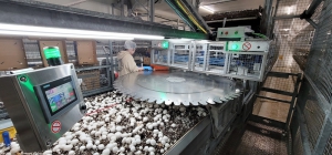 From concept to capability: how integrated robotics are redefining mushroom harvesting