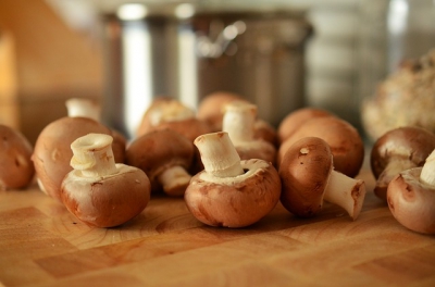 La culture des champignons produit trois fois son poids en déchets. Il est maintenant transformé en hamburgers et en engrais
