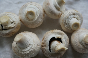 Les champignons sont pleins d'antioxydants qui peuvent avoir un potentiel anti-âge