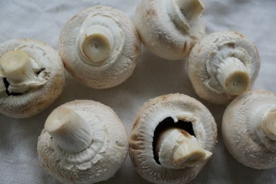 버섯은 노화 방지 가능성이있는 항산화 물질로 가득합니다.
