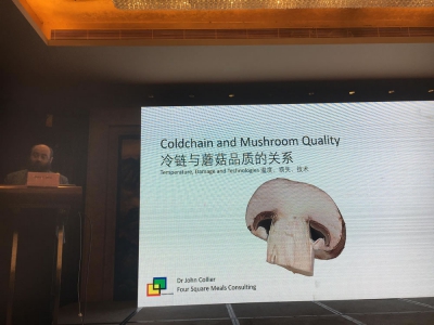 Chinese Mushroom Days 2019_19
